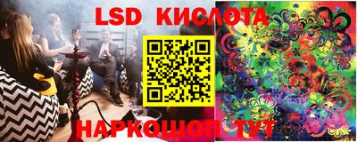 тгк Новозыбков