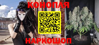 тгк Новозыбков