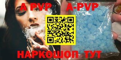 тгк Новозыбков