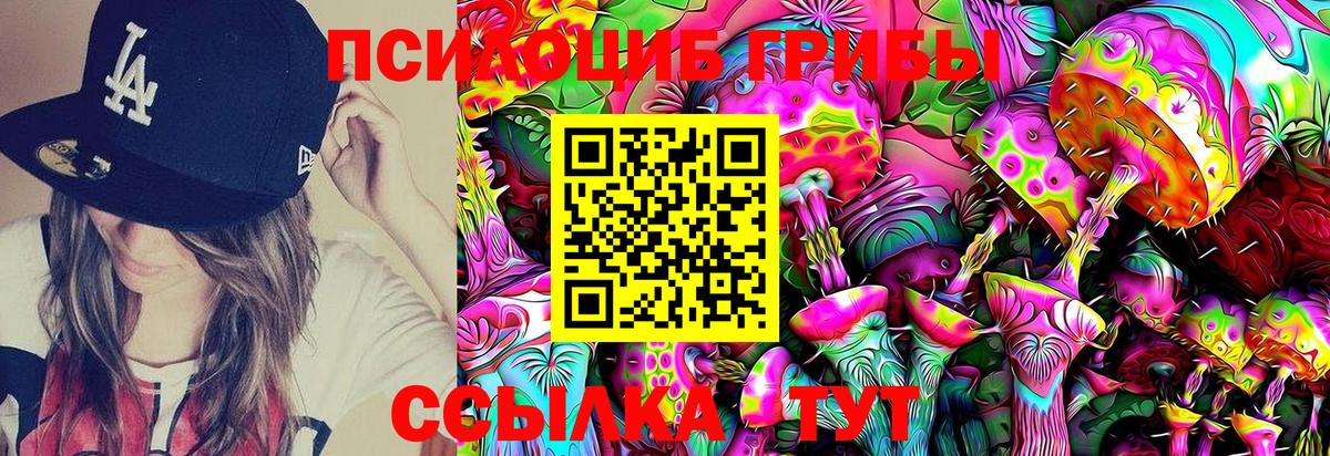 Галлюциногенные грибы Psilocybe Маркс