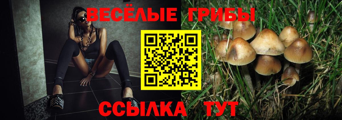 Маркс  Галлюциногенные грибы мицелий  Вход с VPN  Псилоцибиновые грибы Psilocybine cubensis 